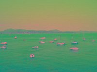 IMGP2760 edited (Medium)